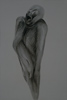 Befehl und Anatomie